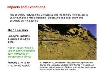 Impacts and Extinctions