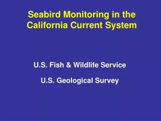Seabird Monitoring in the California Current System
