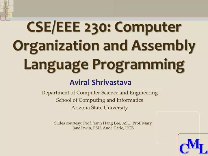 cse eee 230 computer organization and assembly language programming