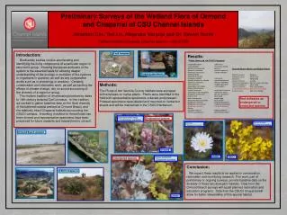 Preliminary Surveys of the Wetland Flora of Ormond and Chaparral of CSU Channel Islands Jonathan Cox, Ted Liu, Alejandra