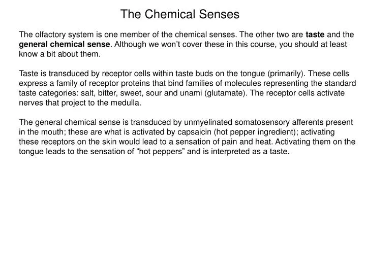 the chemical senses