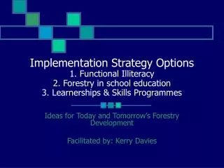Implementation Strategy Options 1. Functional Illiteracy 2. Forestry in school education 3. Learnerships &amp; Skills P