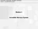 Module 4 - slide 1