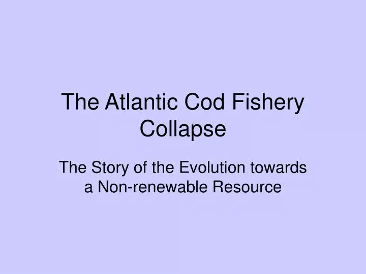 the atlantic cod fishery collapse