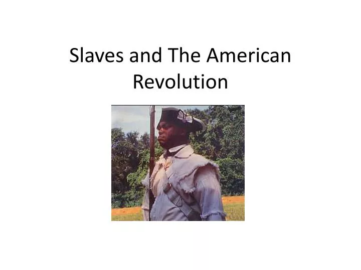 slaves and the american revolution