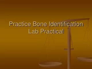 Practice Bone Identification Lab Practical