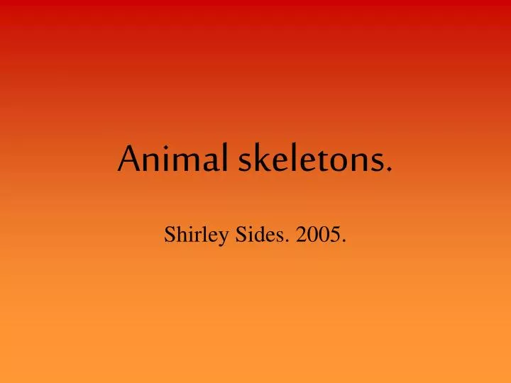 animal skeletons