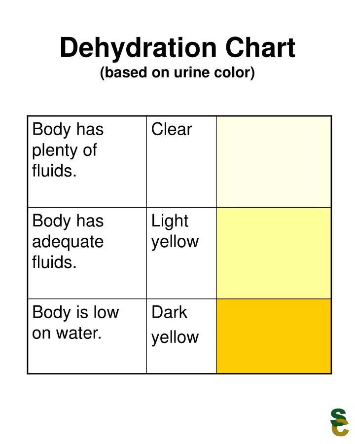 PPT - Dehydration Chart (based on urine color) PowerPoint Presentation -  ID:1164359