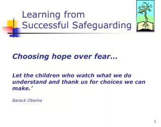 Learning from Successful Safeguarding