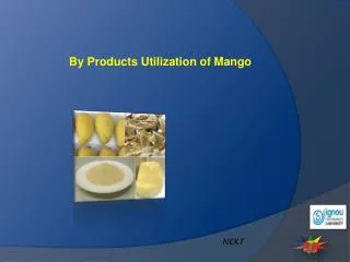 By Products Utilization of Mango