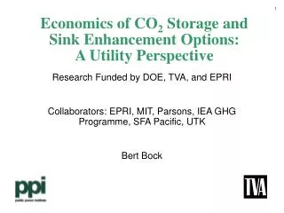 Economics of CO 2 Storage and Sink Enhancement Options: A Utility Perspective