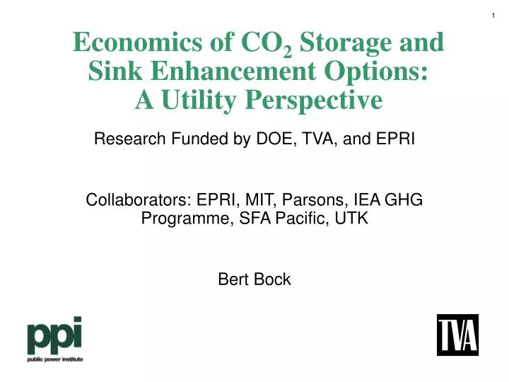 economics of co 2 storage and sink enhancement options a utility perspective