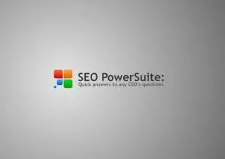 SEO PowerSuite: Quick answers to any CEO???s questions