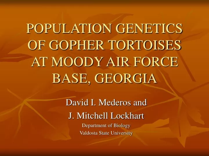 population genetics of gopher tortoises at moody air force base georgia