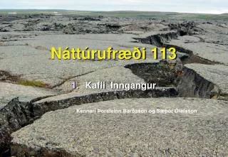 n tt rufr i 113