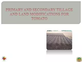 PRIMARY AND SECONDARY TILLAGE AND LAND MODIFICATIONS FOR TOMATO