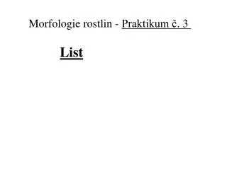 Morfologie rostlin - Praktikum č. 3 List