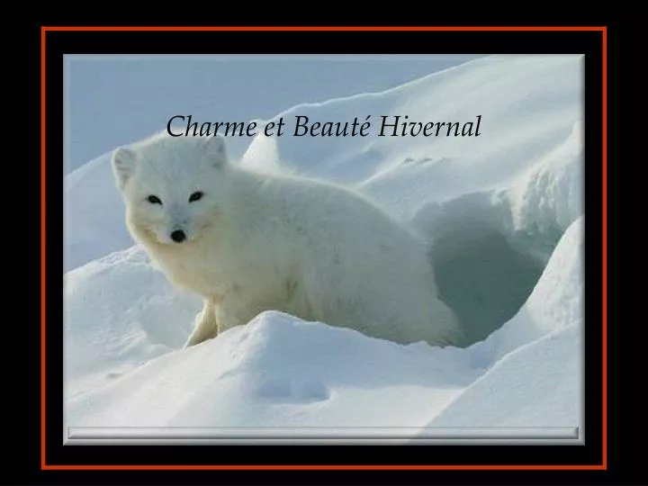 charme et beaut hivernal