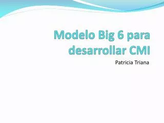 modelo big 6 para desarrollar cmi