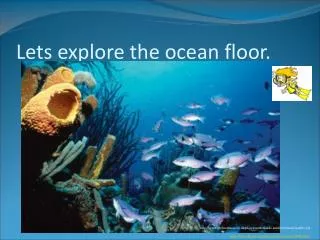 Lets explore the ocean floor.