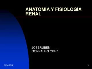 anatom a y fisiolog a renal