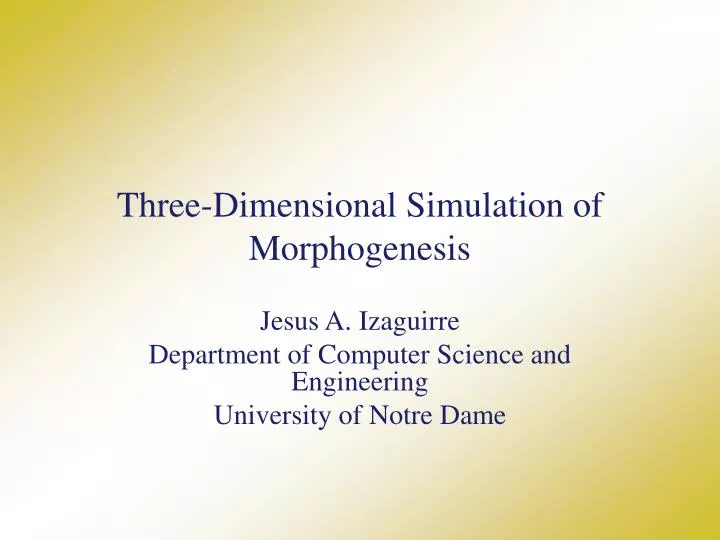 three dimensional simulation of morphogenesis