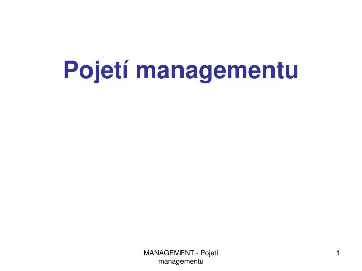 pojet managementu