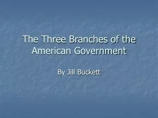 The Three Branches of the American Government