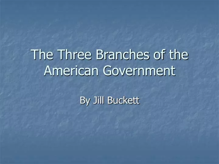 the three branches of the american government