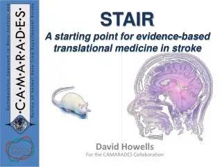 STAIR A starting point for evidence-based translational medicine in stroke