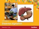 Sistema digestivo - slide 1