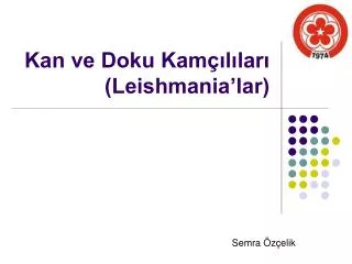 kan ve doku kam l lar leishmania lar