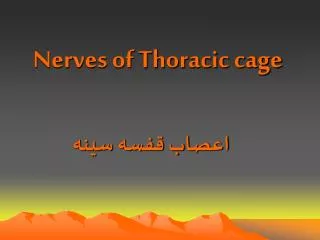 nerves of thoracic cage