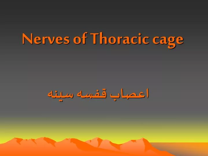 nerves of thoracic cage