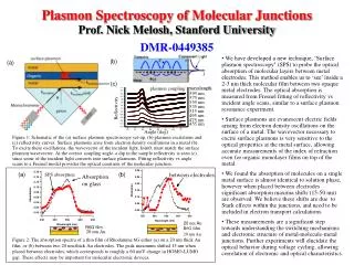Plasmon Spectroscopy of Molecular Junctions