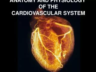 ANATOMY AND PHYSIOLOGY OF THE CARDIOVASCULAR SYSTEM