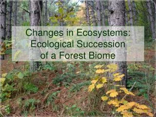 Changes in Ecosystems: Ecological Succession of a Forest Biome
