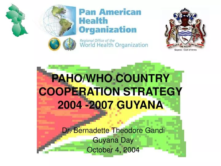 paho who country cooperation strategy 2004 2007 guyana