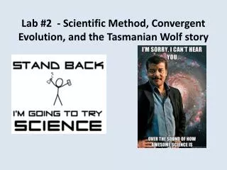 Lab #2 - Scientific Method, Convergent Evolution, and the Tasmanian Wolf story