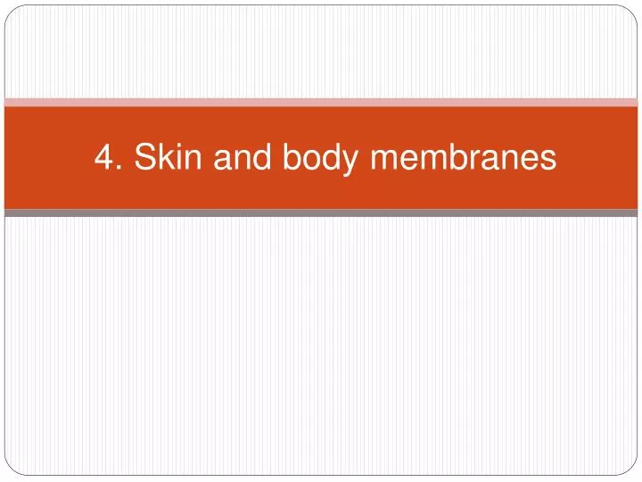 4 skin and body membranes