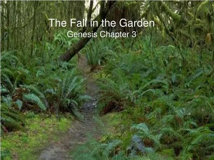 the fall in the garden genesis chapter 3