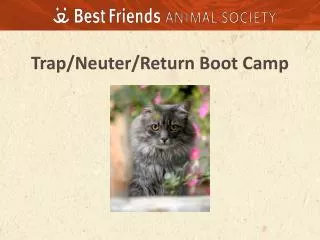 Trap/Neuter/Return Boot Camp