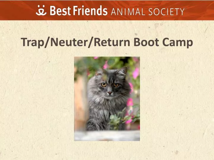trap neuter return boot camp