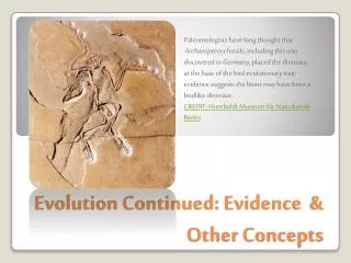 Evolution Continued: Evidence &amp; Other Concepts