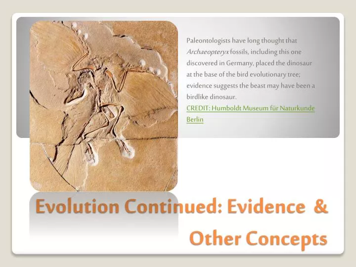 evolution continued evidence other concepts