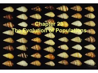 Chapter 23 The Evolution of Populations