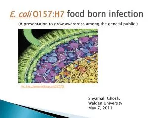 E. coli O157:H7 food born infection