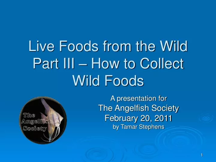 live foods from the wild part iii how to collect wild foods