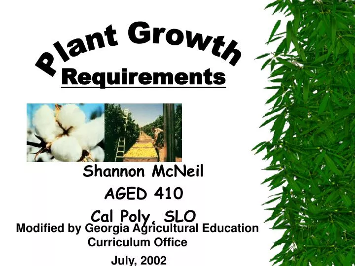 shannon mcneil aged 410 cal poly slo