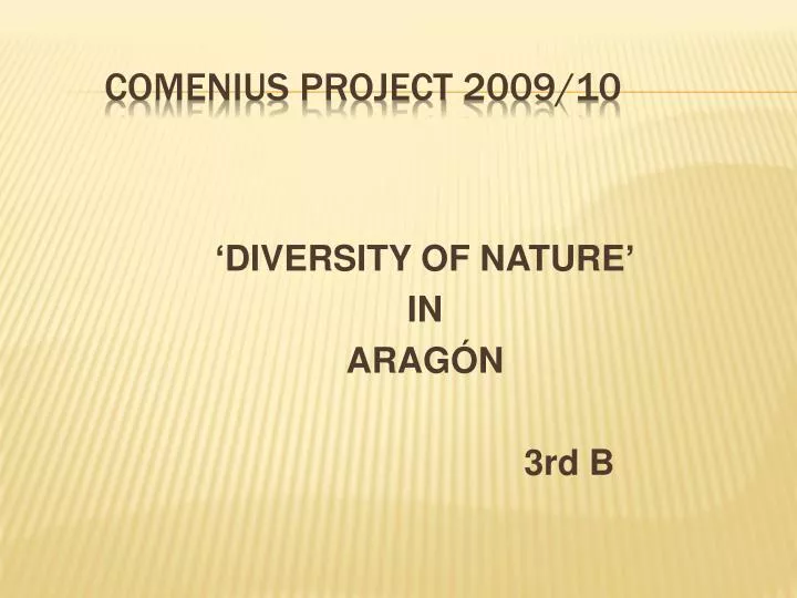 comenius project 2009 10